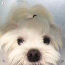 삼송동물병원 이미지