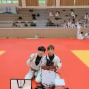 본주짓수동탄 Daum카페