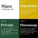 니아벡 이미지