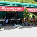 해바라기-청춘(1) 이미지