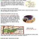 스타피카소