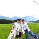 세림동물병원 | 바빴네 3월.. 평창여행2박, 춘천 남이섬 당일치기, 대구 데이식스콘 당일치기..
