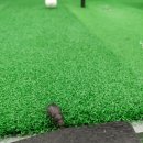 청남골프연습장 이미지