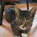 해와달농장 이미지