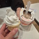 [2024. 상반기 퇴근학습길] 영화 속 우리가족 이야기 | 자두와 만남❤️임신 40주차 출산일기(출산은 내맘데로 되지 않아..) 동탄제일병원 유도분만 실패 후 제왕절개