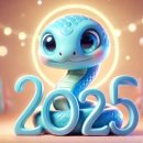 밝은 태권도 도장 이미지