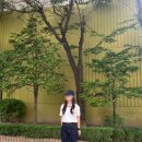 공드린 헤이즐 티셔츠, 코너 논페이드 스트레이트 데님 후기