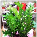 정원골프 아카데미 이미지