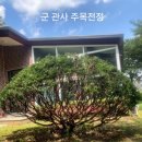 무성조경