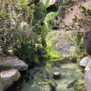 보령시모란공원 식당 이미지