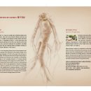 중앙영농조합법인 이미지