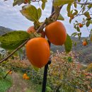 광려중학교 이미지