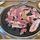 돈오리 이미지