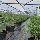 창열농장 이미지