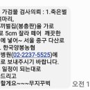 한국양봉농협 동물병원 이미지