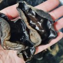 홍원농장 이미지