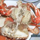 거제활어 이미지