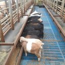 남원미래농장 이미지