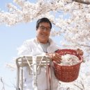 꽃우린꽃차