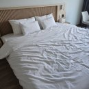 봄그리고가을리조트 | [서귀포시] 또 가고싶은 서귀포숙소 추천 봄 그리고 가을리조트 (feat. 디럭스 더블 후기) 💚