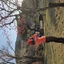 빨간 열매와 빨간 베레모 여인(청풍문화유산단지) 이미지