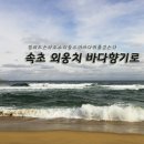 외옹치항 활어판매장 | 국내 겨울 당일치기 추천 여행 | 속초 가볼만한곳 외옹치 바다향기로
