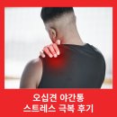 오십견의 원인과 비수술적 치료 | 오십견치료방법 비수술 극복 후기