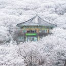 Today Tong Tong 로고