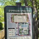 대암체육공원 운동시설 | 금천체육공원 후기 독산동에서 찾은 운동과 산책의 성지