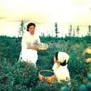 대홍농장 이미지