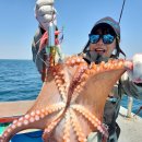 지디컴퍼니 이미지