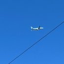 해안반점 이미지