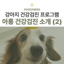분당중앙동물병원 네이버블로그