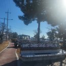 구룡포아라광장 이미지