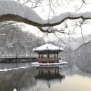내장산숯불갈비 네이버블로그