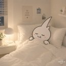 김해시청 | 김해 숙소 넘버25호텔(N25) 김해시청점 내돈내산 후기