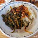 영월식당 티스토리
