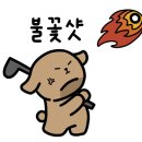 마스타골프 이미지