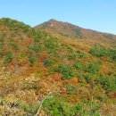 상대농장 이미지