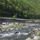 고도영 카카오 검색결과