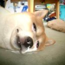 복길