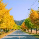 소망부동산중개사무소 이미지