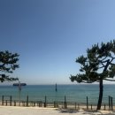 산청브루어리 | 2025.7.25 다녀온지 한달만에 쓰는 강릉 2박3일 sns맛집 후기