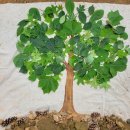 꿈나래유치원 이미지