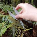 태초메디칼 이미지