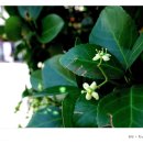 한남역 1번 출구 이미지