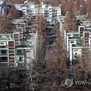 지에스25서초대림 이미지