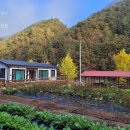 왕피천힐링팜 이미지