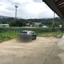 스테이 조각밤 이미지