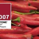 [2007년 팬톤 칼라] Pantone Color of the Year 2007 &#34;칠리페퍼 Chili Pepper&#34; 이미지